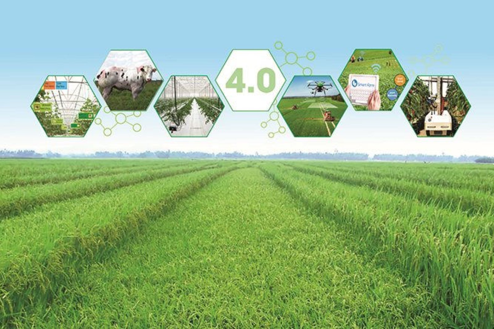 Chuyển đổi sinh thái xã hội trong lĩnh vực nông nghiệp vì mục tiêu phát triển bền vững 