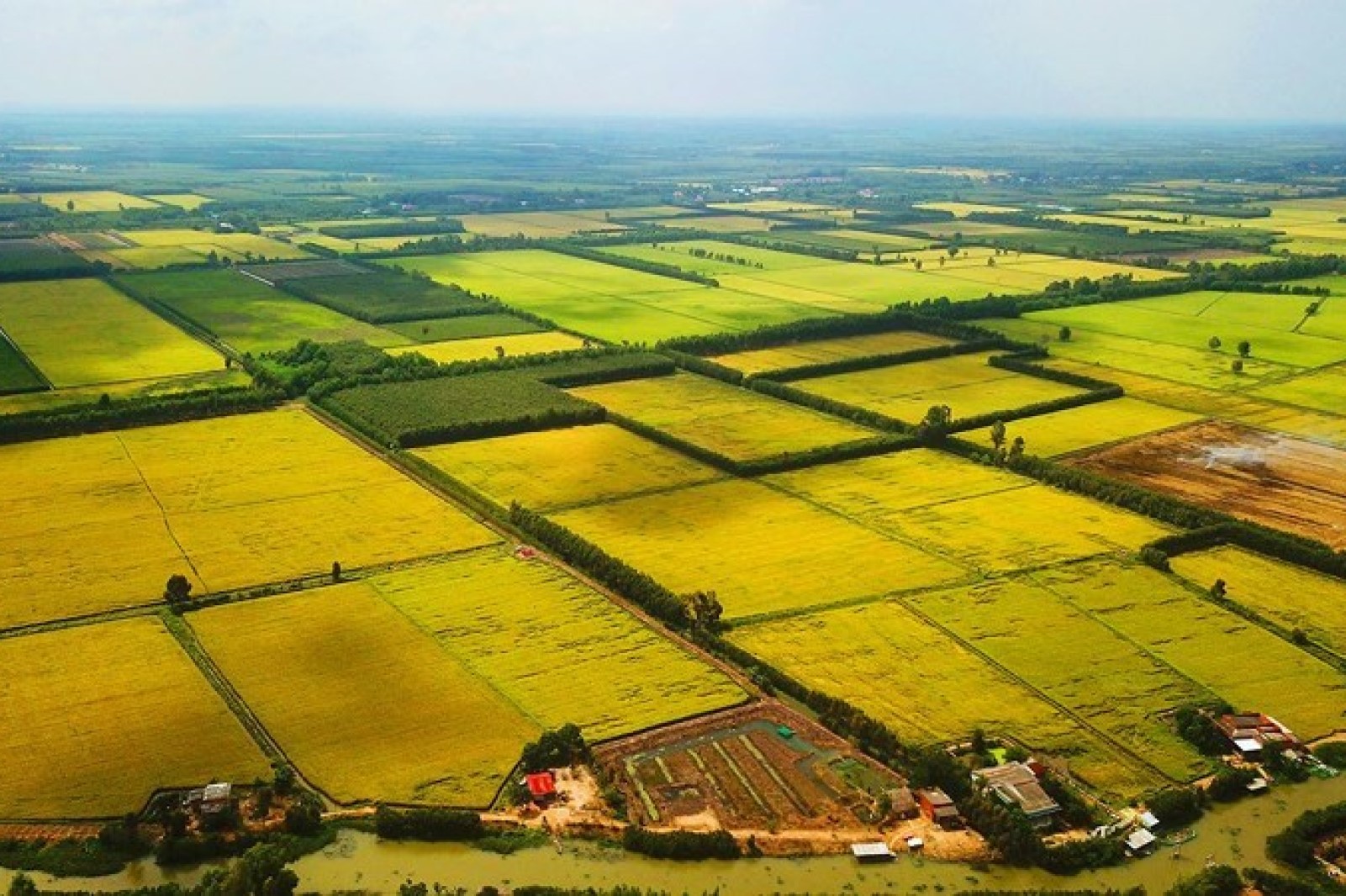 Các hàm ý chính sách cải thiện tình trạng đất đai manh mún, nâng cao hiệu quả sản xuất nông nghiệp