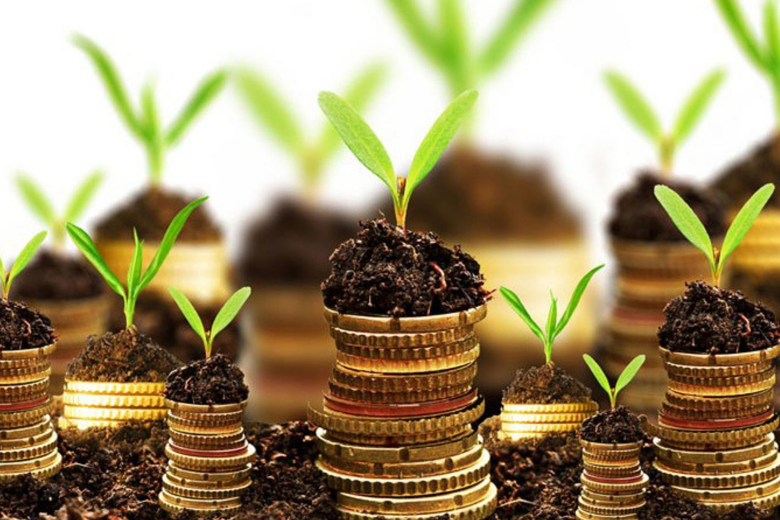 Phát triển hệ thống tài chính xanh nhằm thúc đẩy kinh tế xanh ở Việt Nam