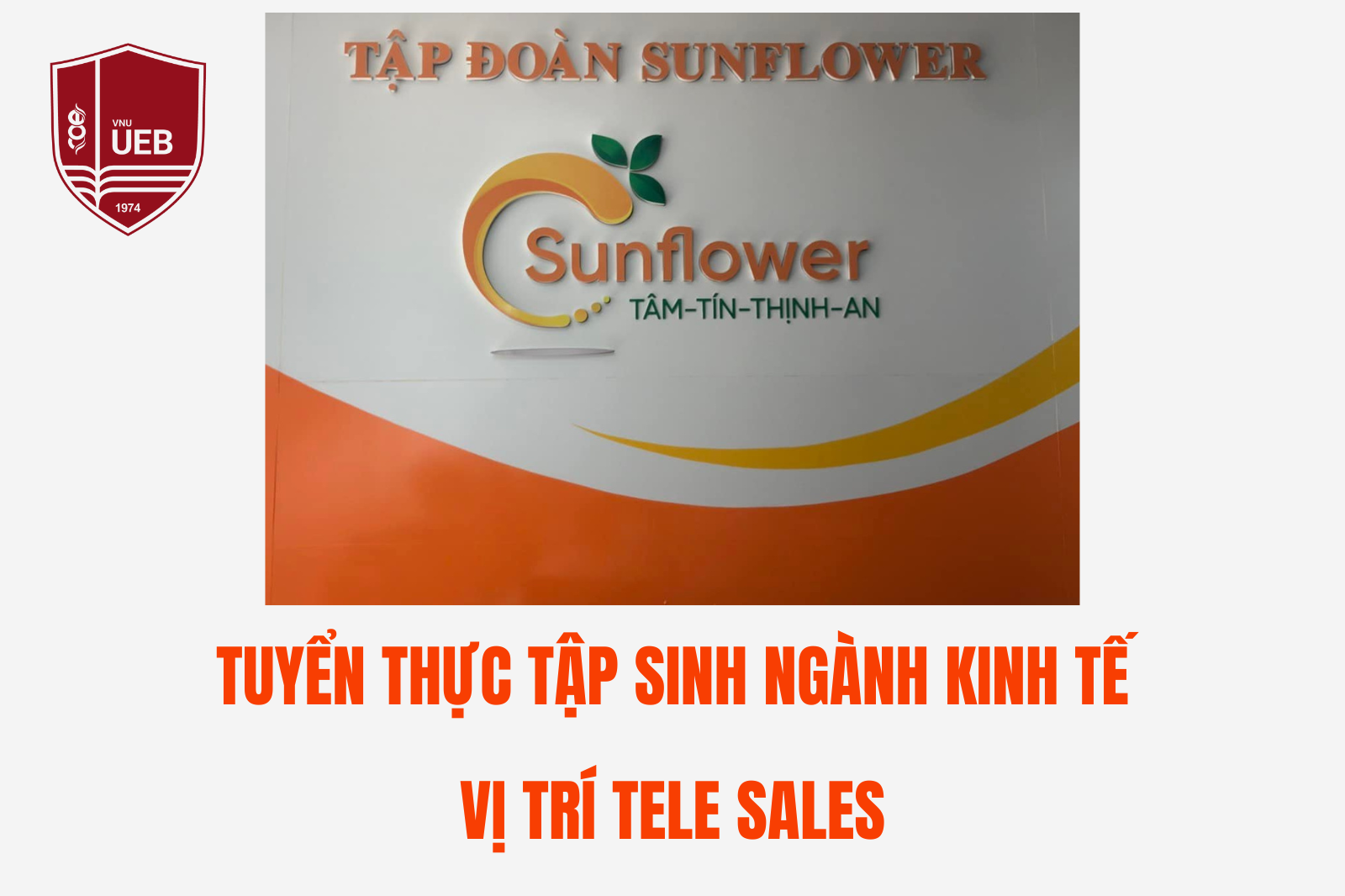 Công ty CP Tập đoàn Sunflower tuyển Thực tập sinh ngành Kinh tế - Tele Sales