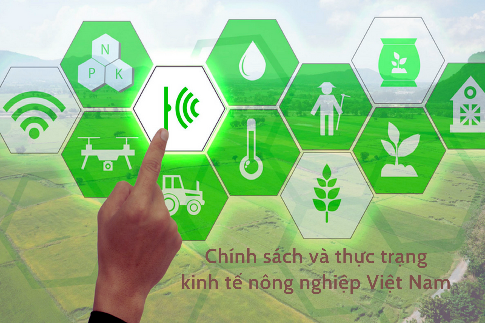 Chính sách và thực trạng kinh tế Nông nghiệp Việt Nam